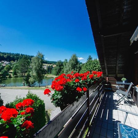Ferienwohnungen Am Skilift Herrischried Экстерьер фото