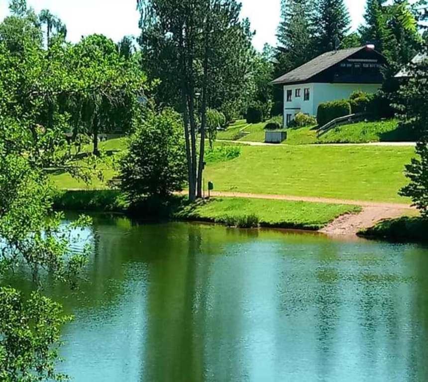 Ferienwohnungen Am Skilift Herrischried Экстерьер фото