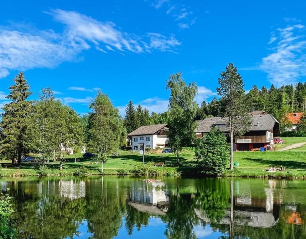 Ferienwohnungen Am Skilift Herrischried Экстерьер фото