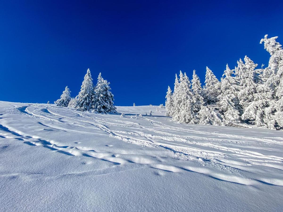 Ferienwohnungen Am Skilift Herrischried Экстерьер фото