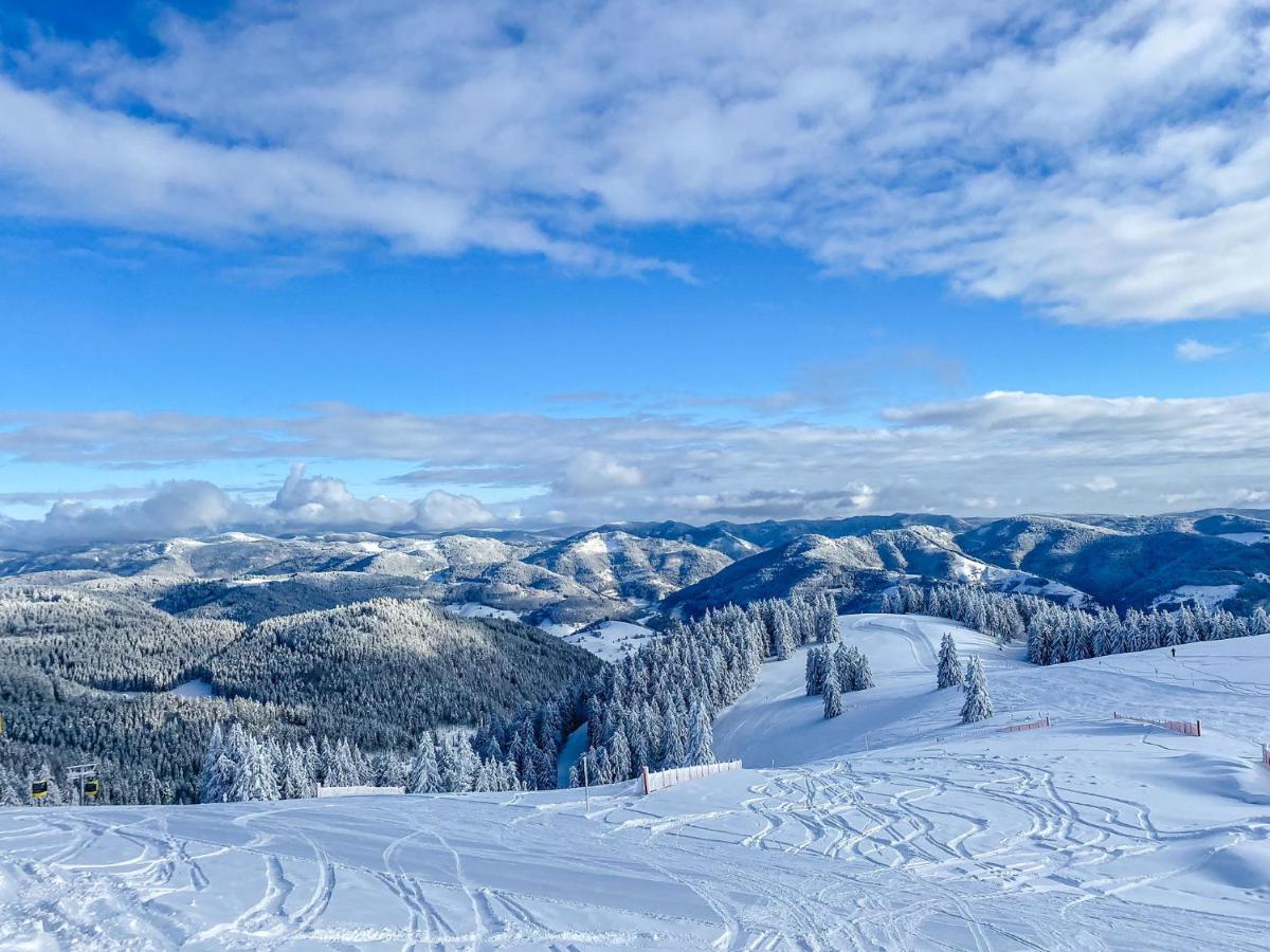 Ferienwohnungen Am Skilift Herrischried Экстерьер фото