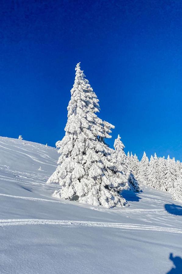 Ferienwohnungen Am Skilift Herrischried Экстерьер фото