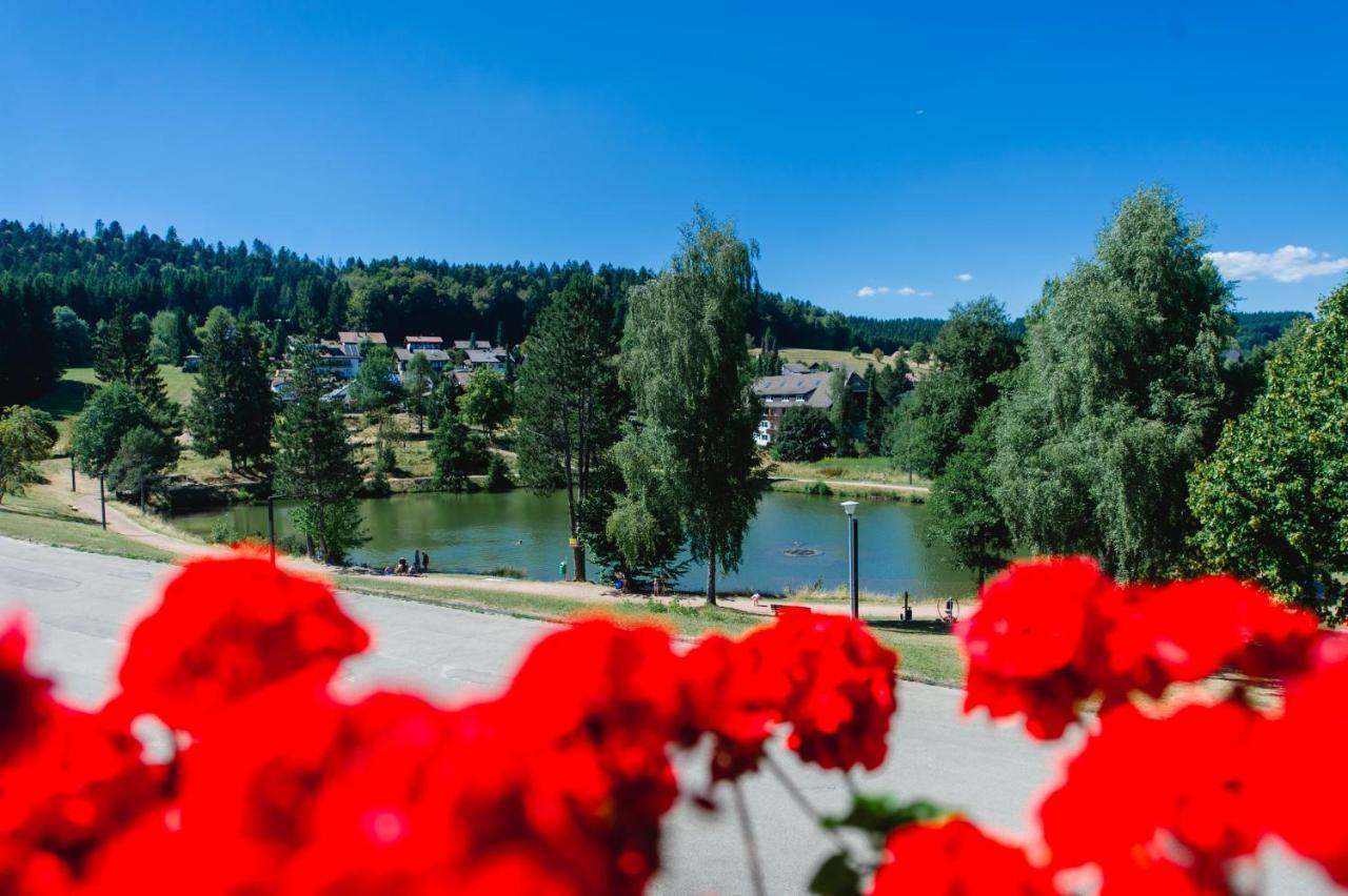 Ferienwohnungen Am Skilift Herrischried Экстерьер фото