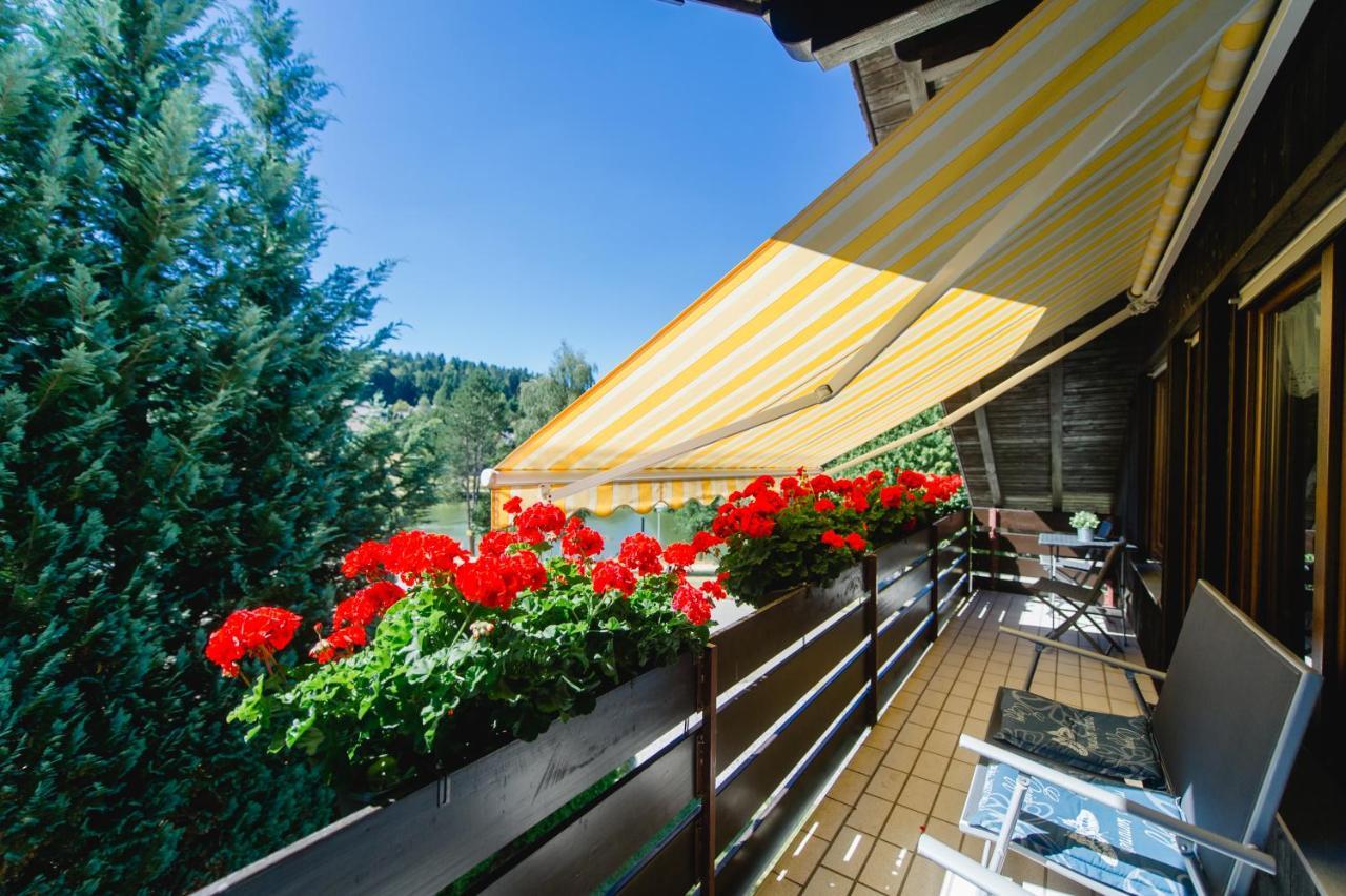 Ferienwohnungen Am Skilift Herrischried Экстерьер фото