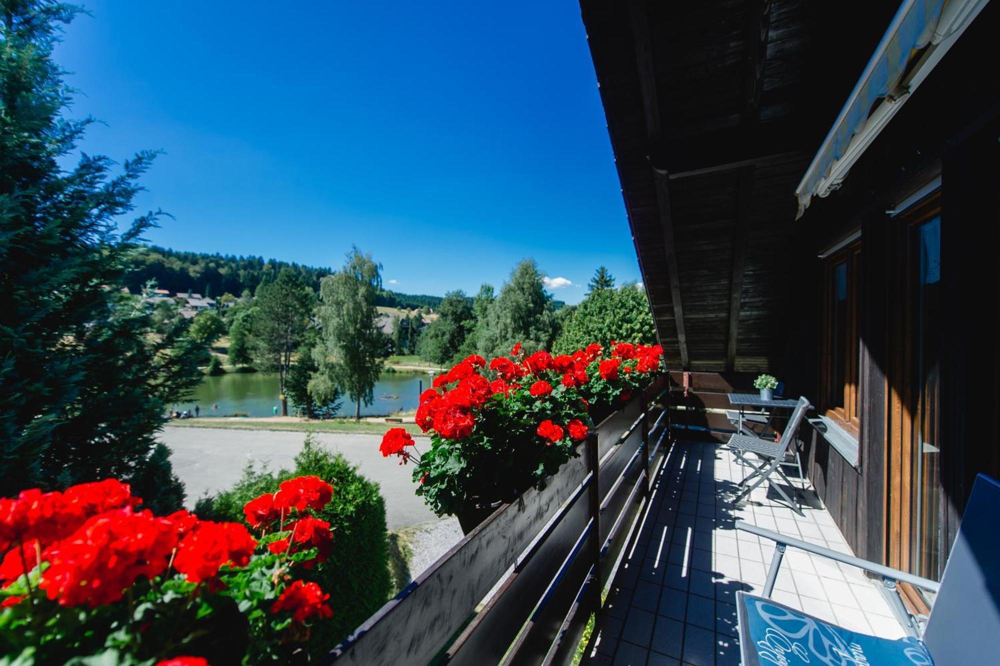 Ferienwohnungen Am Skilift Herrischried Экстерьер фото