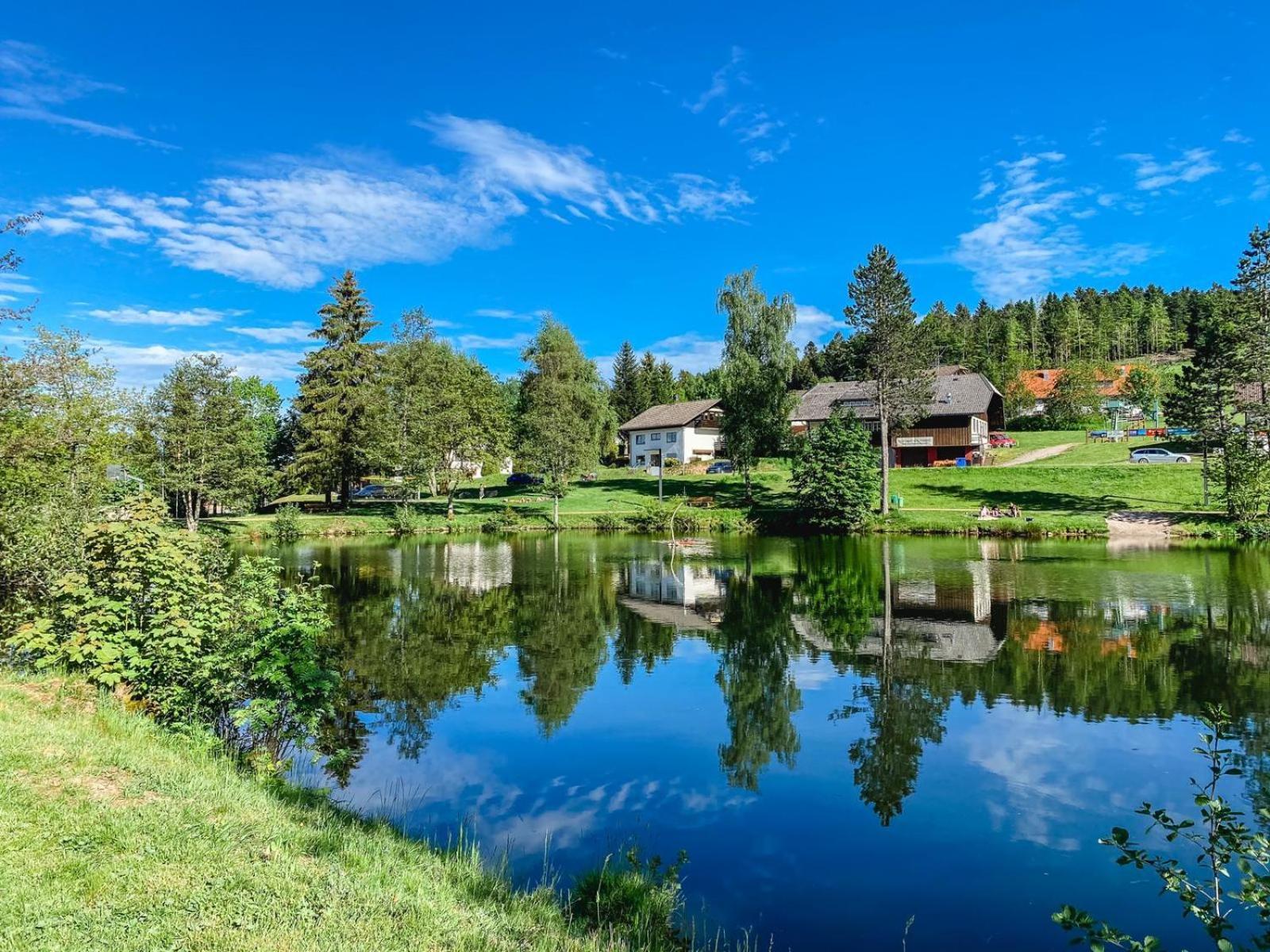 Ferienwohnungen Am Skilift Herrischried Экстерьер фото