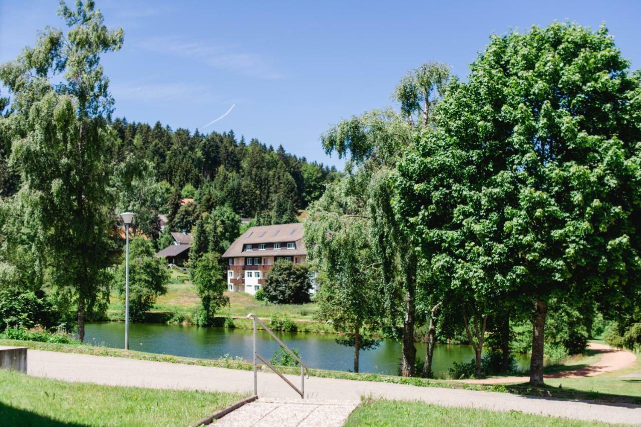 Ferienwohnungen Am Skilift Herrischried Экстерьер фото
