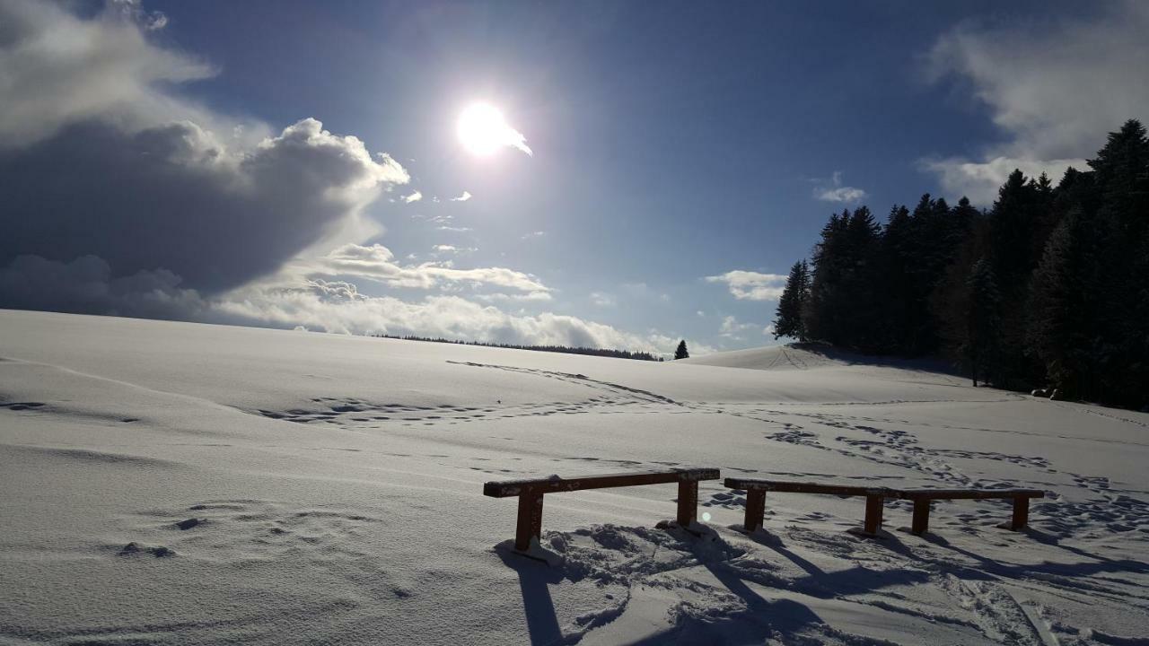 Ferienwohnungen Am Skilift Herrischried Экстерьер фото