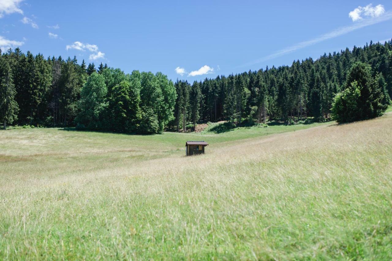 Ferienwohnungen Am Skilift Herrischried Экстерьер фото