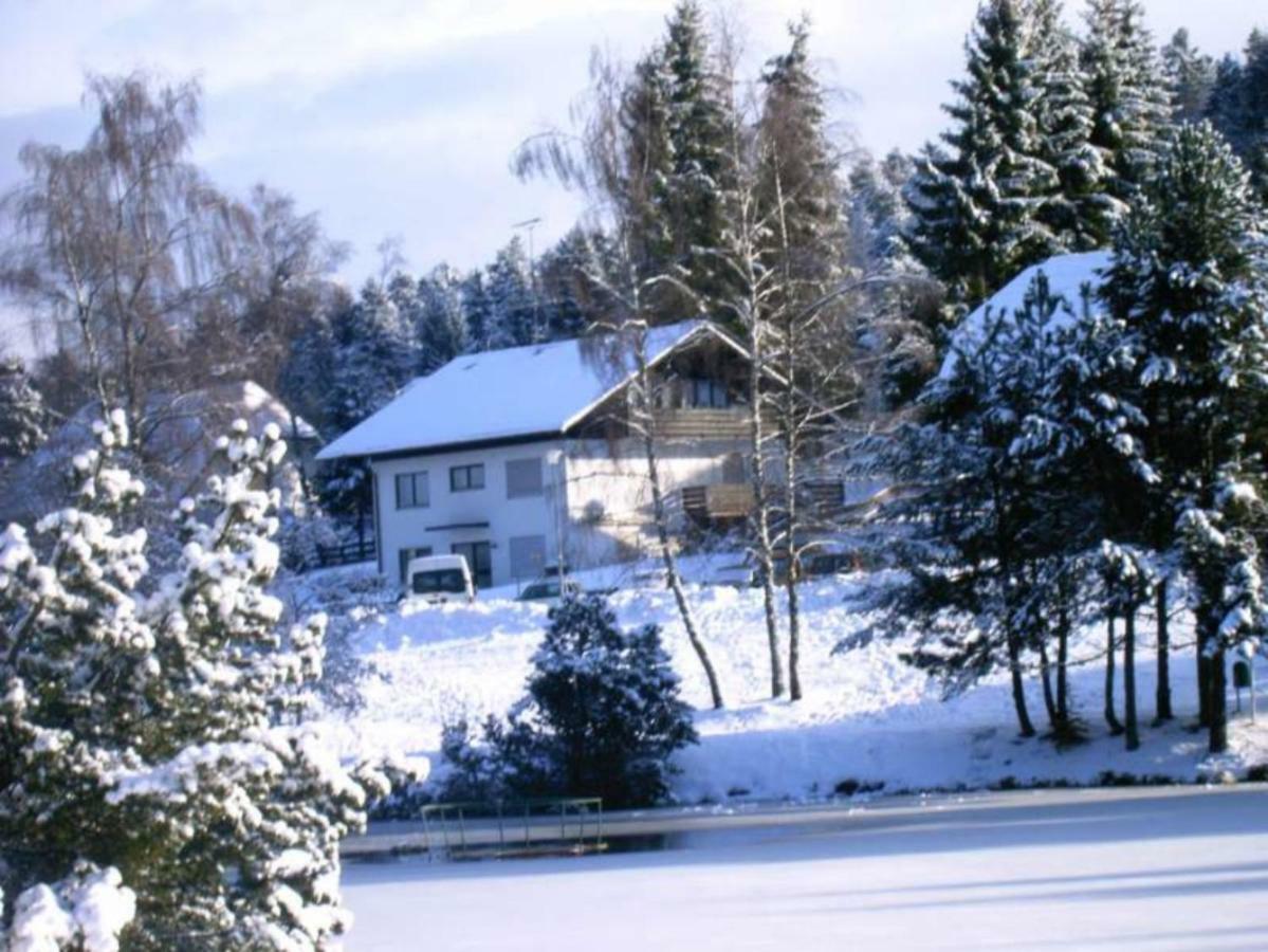 Ferienwohnungen Am Skilift Herrischried Экстерьер фото