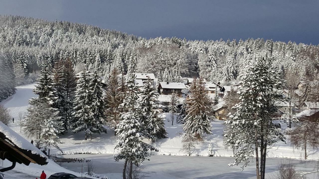 Ferienwohnungen Am Skilift Herrischried Экстерьер фото